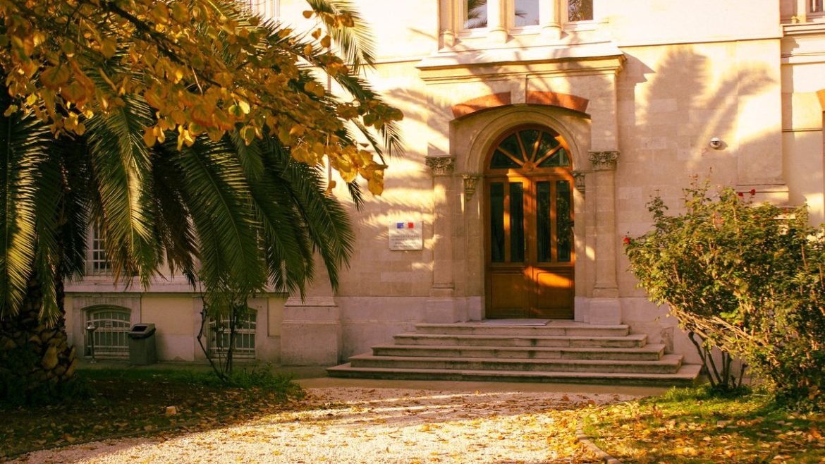 Вхід до шкільної будівлі під осіннім деревом