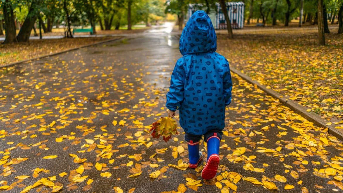 Дитина в куртці на осінній алеї з жовтим листям