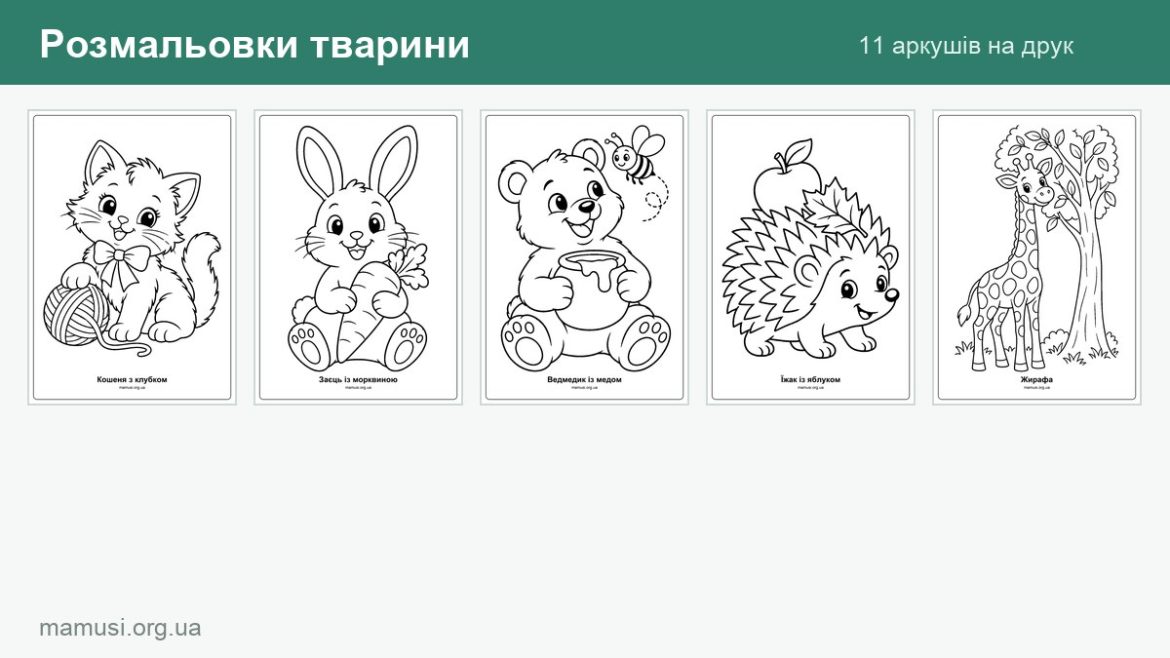 Розмальовки тварини: кошеня, заєць, ведмедик, їжак та жирафа на аркушах для друку